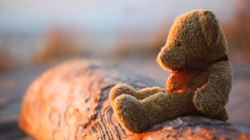 Teddy Bear Sad Alone