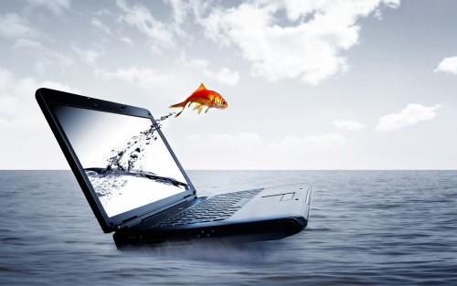 Fish Jump From Laptop