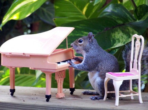 Mouse Playing Piano