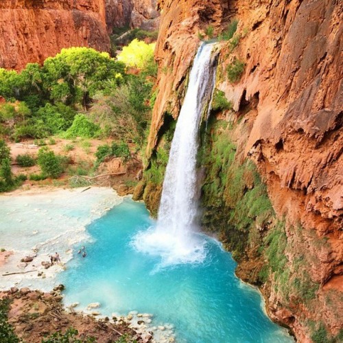 Havasu Falls (Havasupai: Havasuw Hagjahgeevma) is a waterfall of Havasu Creek, located in the Grand Canyon, Arizona, USA