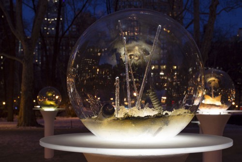 Paula Hayes, Gazing Globes in New York