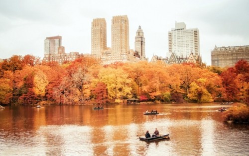 New York Central Park Fall wallpaper