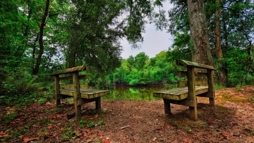 River Photography Peaceful Forest Benches
