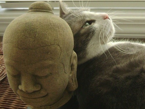 Cat & statue