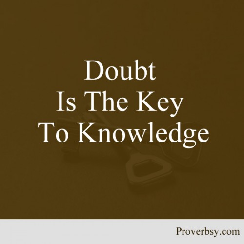 Doubt is the key to knowledge.