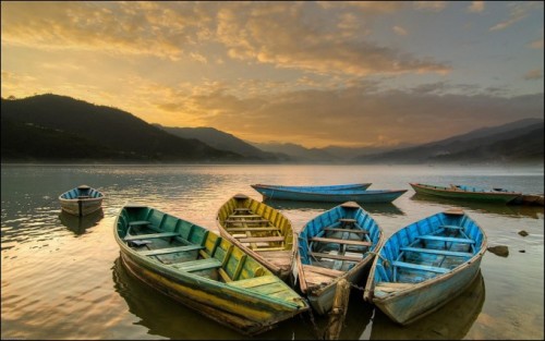 Colored Rowboats On A Lake