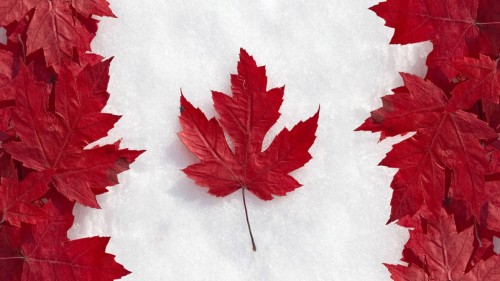 Flag of canada with maple leaf
