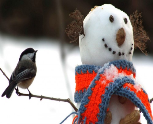 Snow man with Bird