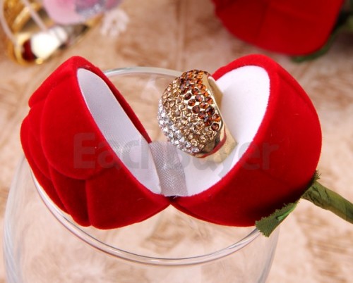 Romantic propose ring