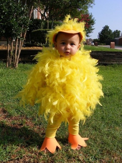 Small baby in Duck Dress