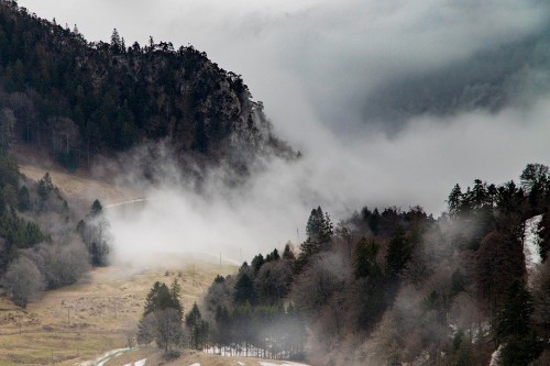 Fog Mountains Mood Grenchenberg Nature Forest