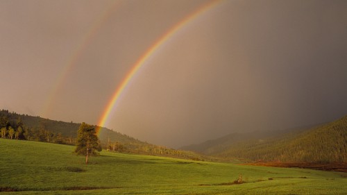 Natural Rainbow