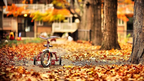Mini bicycle with autumn leaves