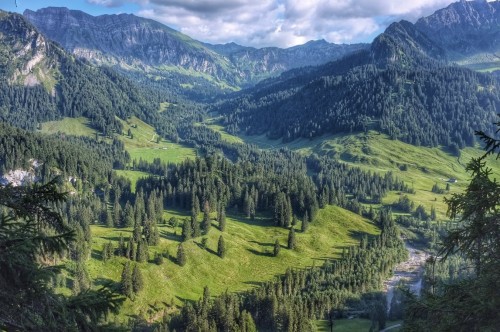 Forested Mountain Valley, Austria