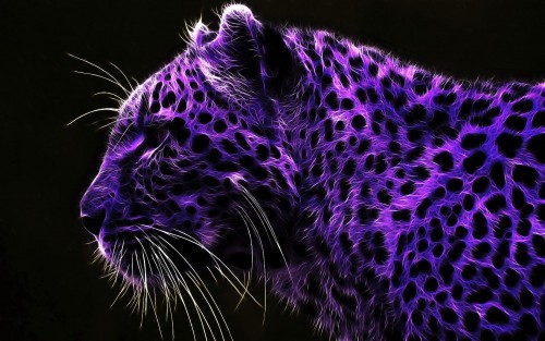 Purple leopard
