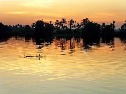 Dawn Nil Egypt Sunrise Colors River Green