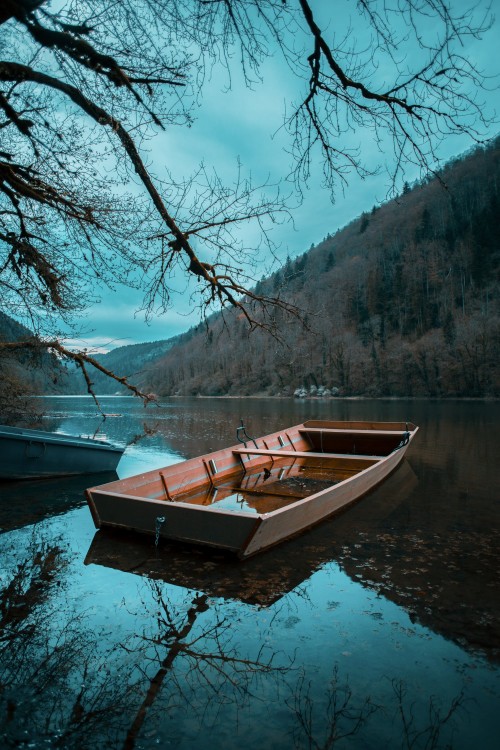 Brown-boat