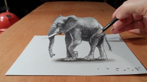 3D elephant art