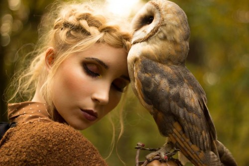 Gorgeous owl photo