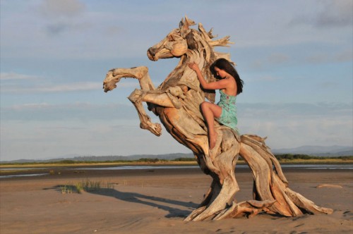 Wooden horse