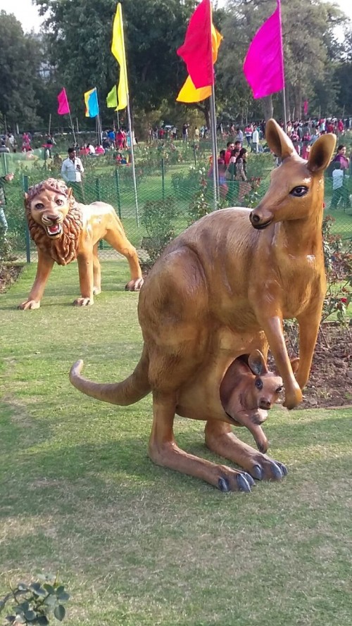 Animals kangaroo, tiger, loin , camel  at Roes Garden