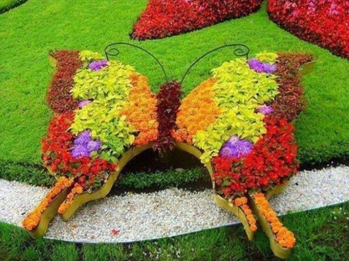 Flower Butterfly