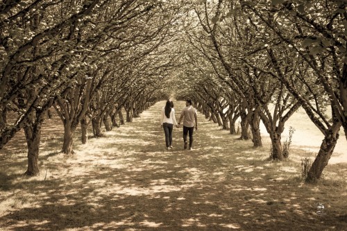Long Walk With You...., Love , Together