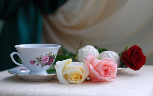 Still Life With Tea Roses