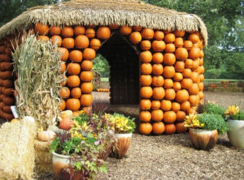 Hut art made of pumpkins