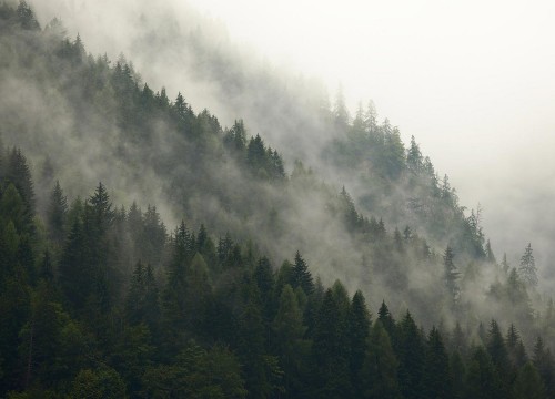 Foggy Mountains