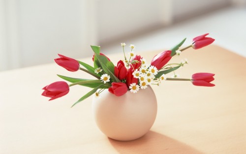 Tulip flowers pot