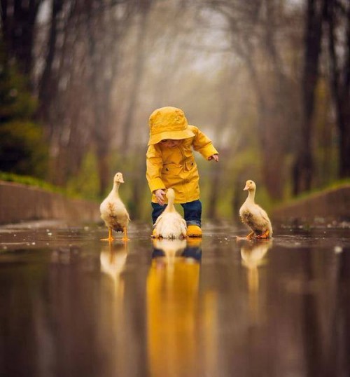 Baby Playing With Ducks