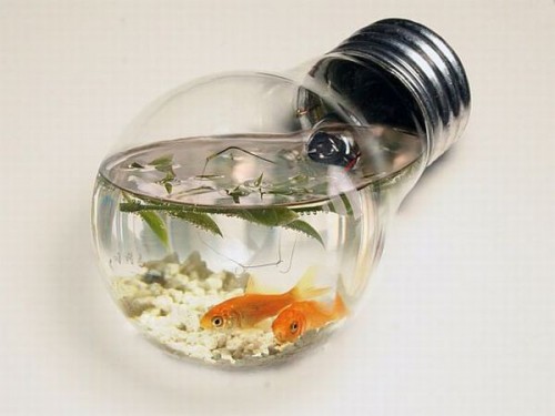 Fish tank light bulb