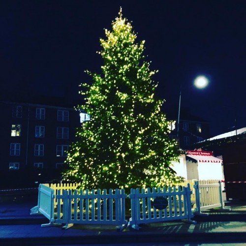 Christmas Tree at Trafalgar Square London United Kingdom