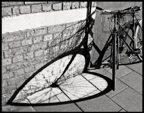 Bike shadow optical illusion thumb