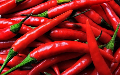 Red spicy chillies