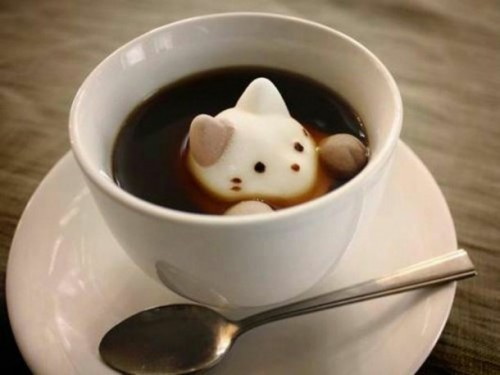 Cat Coffee Cup