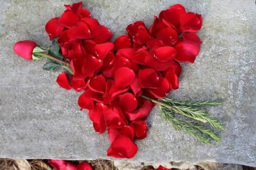 Shape a heart from red rose petals