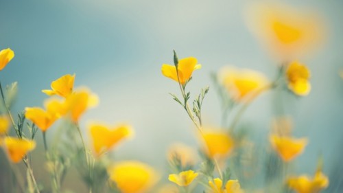a0bc89889f36c14c75c8fee0e6118ed7.jpg