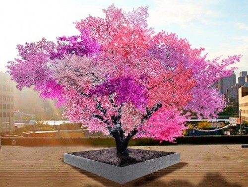 Multicolored Tree