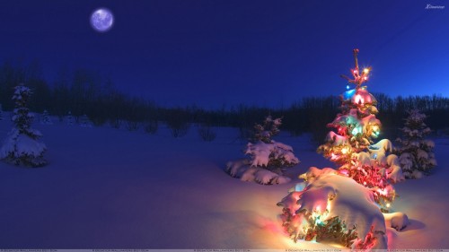Lighting Christmas Tree In Snowfall