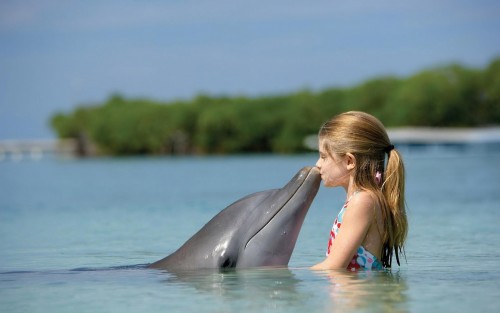 Child Girl Kissing Dolphin
