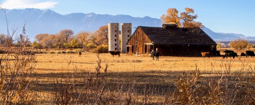 Old Farm California