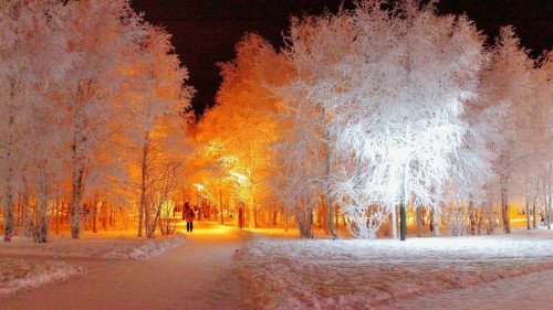 Winter night road (1)