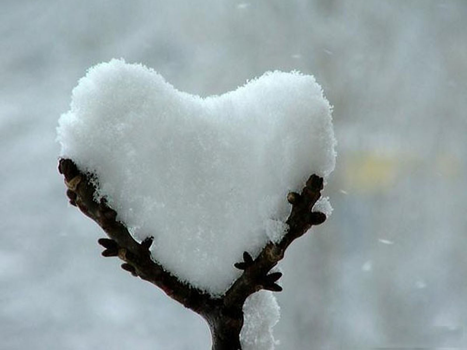 Моя любимая тает. Сердце зимой. Сердце на снегу. Снег в виде сердца. Сердечко зимой.