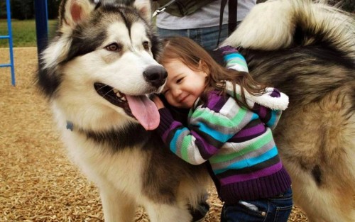 Cute Baby with Dog