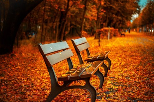 Walk . sit. park. bench