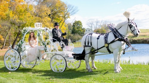 Bridal In Cart