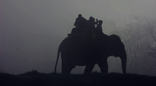 Riding on Elephant