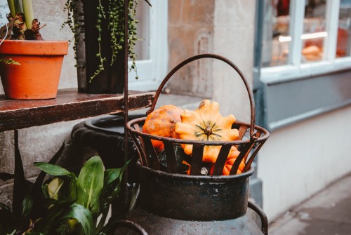 Pumpkin In Basket